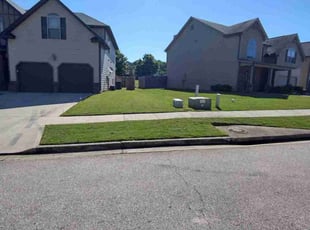 Christine E.'s turf care service result