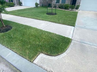 Ken B.'s lawn care services service result