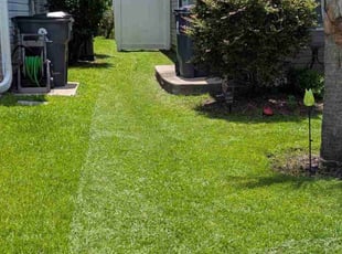 Michele A.'s landscaping service result