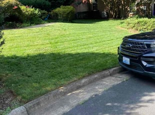Angela S.'s lawn maintenance service result