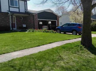 Connie H.'s grass cutting service result