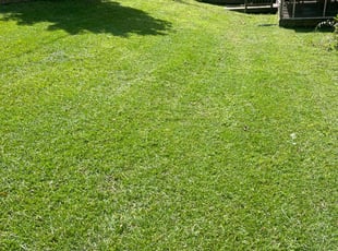 Urica B.'s lawn service service result