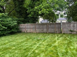 Jessie S.'s grass cutting service result