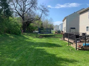 Nick W.'s grass maintenance service result