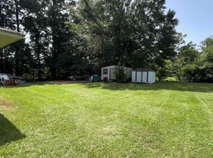 Byron B.'s turf care service result