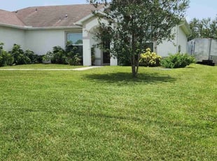 Dennis S.'s turf maintenance service result