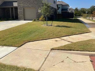 Iona D.'s lawn maintenance service result