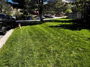 Jeff C.'s turf maintenance service result