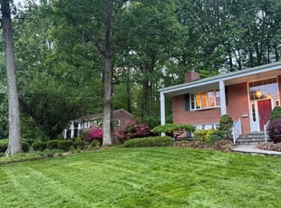 Thomas B.'s Other service result