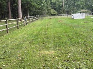 Cedric M.'s turf care service result