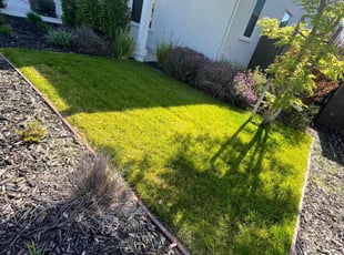 Greg M.'s grass maintenance service result