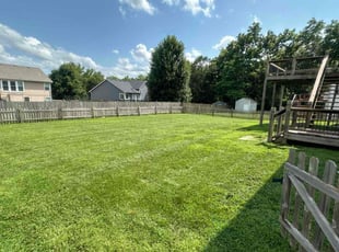 Alexandra S.'s turf maintenance service result