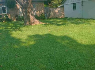 Linda S.'s turf maintenance service result