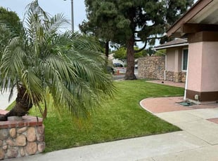 Beverly P.'s residential landscaping service result