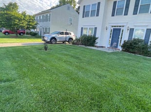 Cristina F.'s lawn service service result