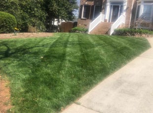 Malik H.'s turf maintenance service result