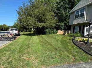 Anna L.'s lawn care service result