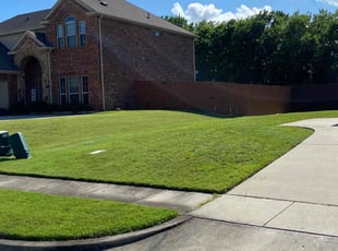 Dan L.'s lawn care services service result