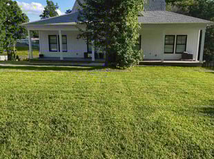 Patricia D.'s grass cutting service result