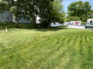 Ramon C.'s turf care service result