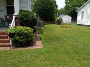 Michelle P.'s lawn service service result