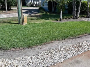 Chris M.'s lawn maintenance service result