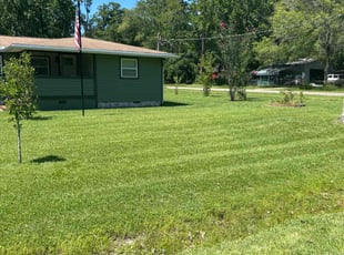 Donna D.'s lawn maintenance service result