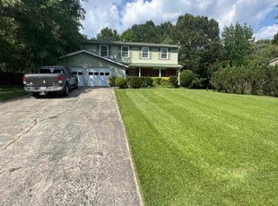 Glenn S.'s Leaf Removal service result