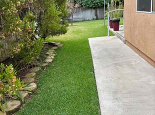 Del C.'s turf care service result
