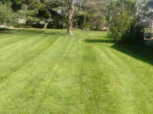Rocky W.'s grass cutting service result