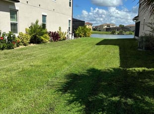 Cythena A.'s lawn care service result