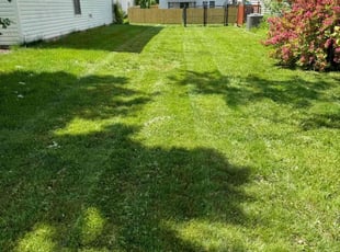 Cathy J.'s lawn care service result