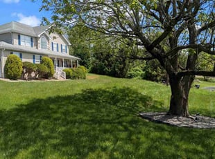Jessica C.'s lawn maintenance service result