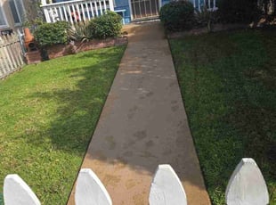 James M.'s grass cutting service result
