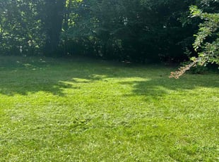 Kathy H.'s lawn care service result