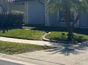 Selwyn S.'s lawn maintenance service result