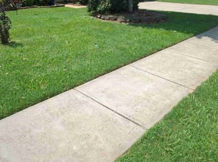 Debbie L.'s turf care service result