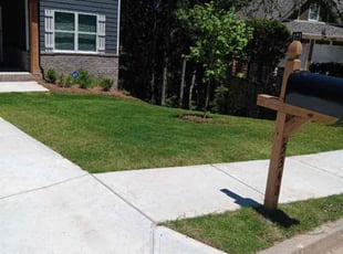 Brandon W.'s lawn care service result