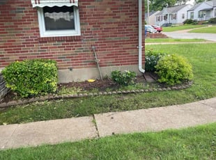 Jeannine K.'s Bush Trimming service result