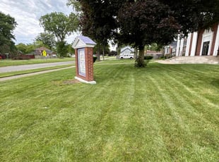 Samila D.'s grass maintenance service result