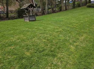 Debbie W.'s lawn care services service result