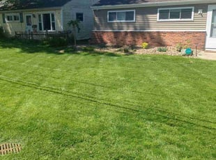 Shana H.'s grass cutting service result