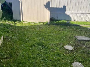 Nancy T.'s grass maintenance service result