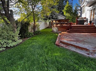 Ashley F.'s turf maintenance service result