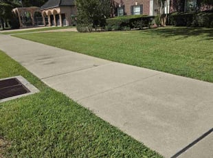 Douglas D.'s turf maintenance service result