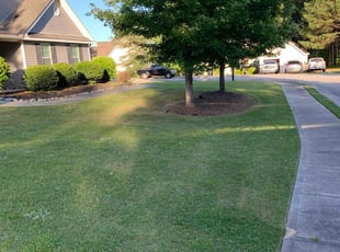 Shan M.'s lawn care service result
