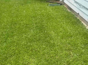 Paul M.'s grass maintenance service result