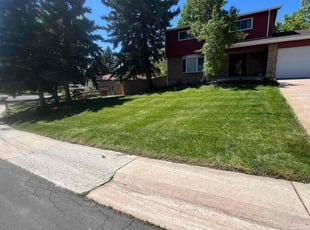 Betty L.'s lawn care service result