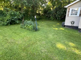 Teresa v.'s lawn care service result