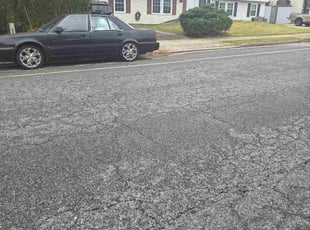 Charnise C.'s Bush Trimming service result